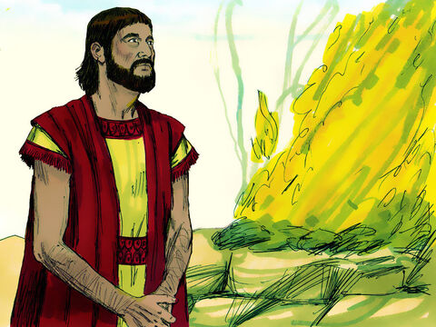अब्राम ने शेकेम में यहोवा के लिए एक वेदी बनाई और परमेश्वर का आराधना किया। – Slide número 9
