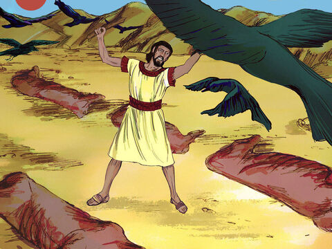 अब्राम ने उनके शवों के हिस्सों को एक दूसरे के विपरीत लिटा दिया। शिकारी पक्षी आए तो अब्राम ने उन्हें भगा दिया। – Slide número 7