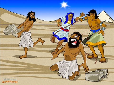 एक दिन, जब मूसा बड़ा हुआ, तो उसने पाया कि वह एक इब्रानी है। वह अपने वास्तविक परिवार से मिलने के लिए निकल पड़ा जो मिस्र के एक हिस्से में रहता था जिसे गोशेन कहा जाता था। जब उसने उन्हें मिट्टी की ईंटें बनाते हुए देखा, तो उसने देखा कि एक मिस्र का आदमी एक इब्रानी दास को पीट रहा है।<br/>मूसा का मन क्रोध से भर गया। "तुमने उस गुलाम को मारने की हिम्मत कैसे की!" वह चिल्लाया। मूसा ने मिस्री को मार डाला और उसके शरीर को रेत में गाड़ दिया। अगले दिन, मूसा बाहर गया और दो इब्री पुरुषों को आपस में लड़ते देखा। "तुम अपने दोस्त को क्यों मार रहे हो?" उसने पुरुषों में से एक से पूछा। "आप कौन होते हैं जो मुझे बताते हैं कि मुझे क्या करना है?" आदमी ने उत्तर दिया। "क्या तुम मुझे वैसे ही मारोगे जैसे तुमने उस मिस्री को मार डाला?"<br/>मूसा का हृदय भय से काँप उठा। और कौन जानता था कि उसने एक मिस्री को मार डाला था?<br/>जब फिरौन ने सुना कि मूसा ने क्या किया है, तो उसने कहा, "उसे ढूंढ़ो और मार डालो!" मूसा जानता था कि वह मुसीबत में है। वह फिरौन के महल से बहुत दूर मिद्यान नामक देश को भाग गया। – Slide número 5