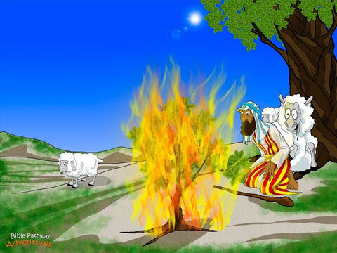 एक दिन, सीनै नामक पहाड़ के पास, मूसा ने देखा कि एक झाड़ी में आग लगी हुई थी फिर भी वह जल नहीं रही थी। "यह बहुत अजीब है," मूसा ने कहा। "मैं बेहतर तरीके से करीब से देखता हूं।" उसके आश्चर्य के लिए, याह ने उससे झाड़ी में से बात की।<br/>मूसा, अब और निकट मत आना। तुम पवित्र भूमि पर खड़े हो। मैं इब्राहीम, इसहाक और याकूब का परमेश्वर हूं।” मूसा के घुटने कांपने लगे। उसने अपनी जूतियाँ उतार दी और अपने हाथों से अपना चेहरा ढक लिया।<br/>याह ने आगे कहा। "मैंने देखा है कि मिस्र में मेरे लोगों के साथ कितना बुरा व्यवहार किया जा रहा है। फिरौन के पास जा और उससे कह, कि मेरी प्रजा को जाने दे।”<br/>मूसा को यह विचार पसंद नहीं  आया। "तुम मुझे क्यों भेज रहे हो?" उसने पूछा। उसने जलती हुई झाड़ी में अपनी उंगलियों से झाँका। "मैं कोई नहीं और एक वांछित व्यक्ति हूं। फिरौन मेरे कहे एक शब्द पर विश्वास नहीं करेगा!” – Slide número 8