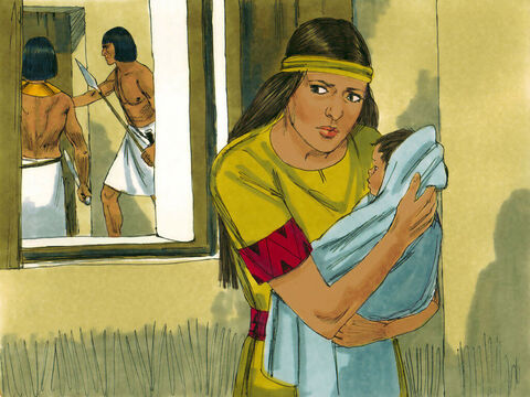 निर्गमन 2:2 लेकिन जैसे-जैसे बच्चा बड़ा होता गया उसे छुपा कर रखना मुश्किल हो गया। – Slide número 14