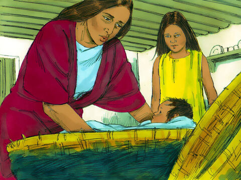 उसने बच्चे को टोकरी में रखा और उसे नील नदी में ले गई। उनकी छोटी बेटी मिरियम ने उनकी मदद की। – Slide número 16
