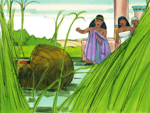 निर्गमन 2:5 अप्रत्याशित रूप से फिरौन की बेटी स्नान करने के लिए नदी पर उतर आई। उसने टोकरी देखी और अपने एक परिचारक को उसे लाने के लिए भेजा। – Slide número 18