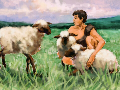 हाबिल भेड़-बकरियों का चरवाहा था। – Slide número 2