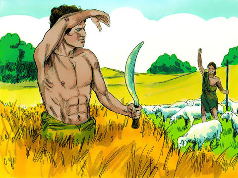 बड़ा होकर कैन किसान बन गया और हाबिल एक चरवाहा बन गया। – Slide número 2
