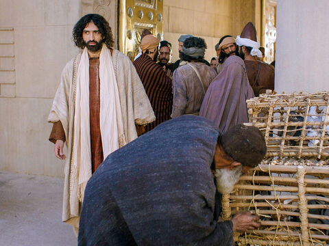 यीशु मन्दिर में लेन-देन करने वालों को बाहर निकालता है। (मत्ती 21:12-17, मरकुस 11:15-19, लूका 19:45-48, यूहन्ना 2:13-24) – Slide número 3