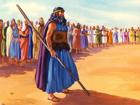 एलिय्याह ने घोषणा की, 'मैं यहोवा का अकेला नबी हूँ लेकिन बाल के पास 450 नबी हैं। – Slide número 25