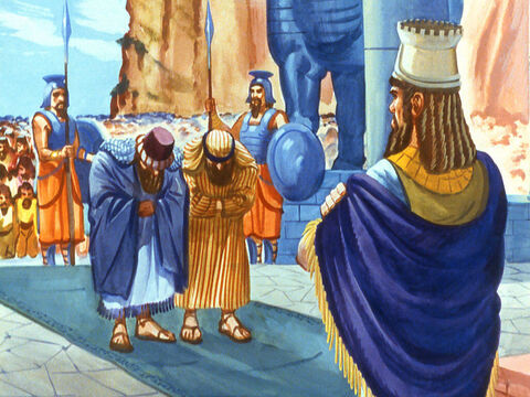 दोनों कसदियों ने समय नष्ट न करते हुए सारा हाल राजा नबूकदनेस्सर को सुना दिया। वे शद्रक, मेशक और अबेदनगो से ईर्ष्या करते थे। – Slide número 20