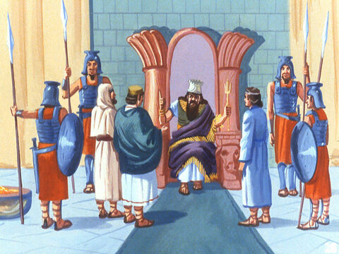 शद्रक, मेशक और अबेदनगो को पकड़कर राजा के महल में लाया गया और जब उनसे पूछा गया कि वे सच मे मूर्ति के सामने नहीं झुके, इस पर उन्होंने कहा कि यह बात सत्य है। – Slide número 23