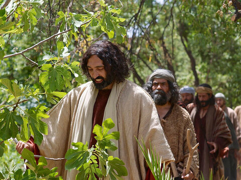 यीशु उस विश्वास के बारे में सिखाता है जो पहाड़ों को हिला देता है। (मरकुस 11:12-25) – Slide número 2