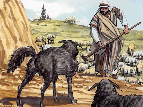 ‘अच्छा चरवाहा मैं हूं; अच्छा चरवाहा भेड़ों के लिये अपना प्राण देता है। – Slide número 9