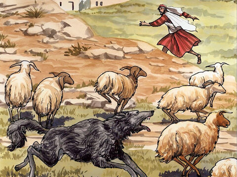 ‘मजदूर जो न चरवाहा है, और न भेड़ों का मालिक है, भेड़िए को आते हुए देख, भेड़ों को छोड़कर भाग जाता है, – Slide número 10