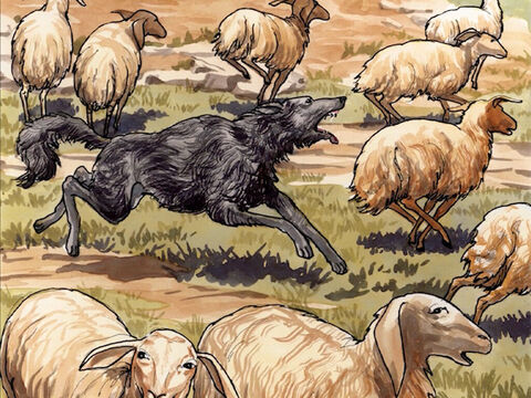 ‘और भेड़िय़ा उन्हें पकड़ता और तित्तर बित्तर कर देता है। वह इसलिये भाग जाता है कि वह मजदूर है, और उस को भेड़ों की चिन्ता नहीं। – Slide número 11