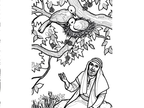 यीशु कहते हैं, 'लोमड़ियों के भट और पक्षियों के बसेरे होते हैं, परन्तु मनुष्य के पुत्र को सिर छिपाने की भी जगह नहीं।' लूका 9:58 – Slide número 4