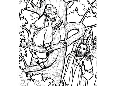यीशु कर संग्रहकर्ता जक्कई से बात करने के लिए रुकते हैं, जो गूलर के पेड़ पर चढ़ गया है।<br/>लूका 19:1-10 – Slide número 12