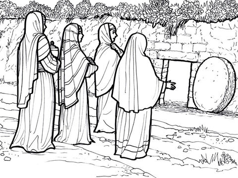 महिलाएं मसाले लाती हैं लेकिन कब्र खाली पाती हैं।<br/>मत्ती 27:57-28:20, मरकुस 16:1-8, लूका 24:1-12, 36-49, यूहन्ना 20-21 – Slide número 7