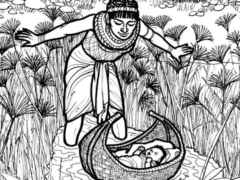 शिशु मूसा को फिरौन की बेटी ने नील नदी से निकाला। – Slide número 7