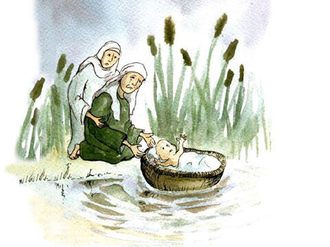 ऐसा हुआ कि एक इस्राएली परिवार में एक बच्चे का जन्म हुआ। उसकी माँ जानती थी कि उसे बचाने के लिए उसे कुछ करना होगा। उसने नदी के पास उगने वाले नरकटों से एक बड़ी टोकरी बनाई। उसने उसे चिपचिपे टार से सील कर दिया ताकि वह पानी में न डूबे। फिर उसने बच्चे को टोकरी में डालकर किनारे से नदी में छोड़ दिया। बच्चे की बहन, मरियम, कुछ दूरी पर खड़ी थी और बच्चे को देख रही थी। – Slide número 3