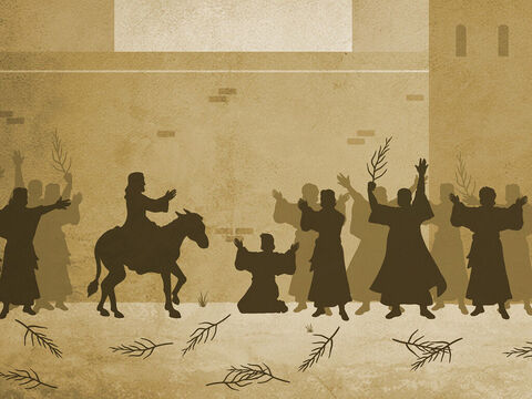 यीशु यरूशलेम में सवारी करते हैं।<br/>मत्ती 21:1-11, मरकुस 11:1-11, लूका 19:28-44, यूहन्ना 12:12-17 – Slide número 5