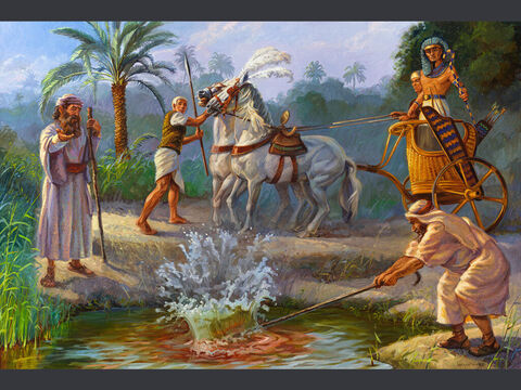 पहली विपत्ति: पानी खून में बदल जाता है।  तब मूसा और हारून ने यहोवा की आज्ञा ही के अनुसार किया, अर्थात उसने लाठी को उठा कर फिरौन और उसके कर्मचारियों के देखते नील नदी के जल पर मारा, और नदी का सब जल लहू बन गया। निर्गमन 7:20<br/>संपूर्ण पाठ: निर्गमन 7:14-23 – Slide número 3