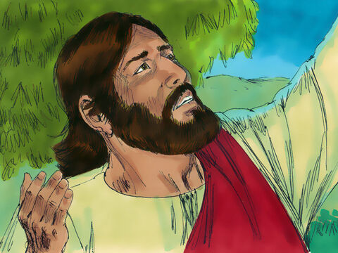 अगले दिन भोर से पहले यीश जंगल में अकेले ही प्रार्थना करन को चला गया। – Slide número 11