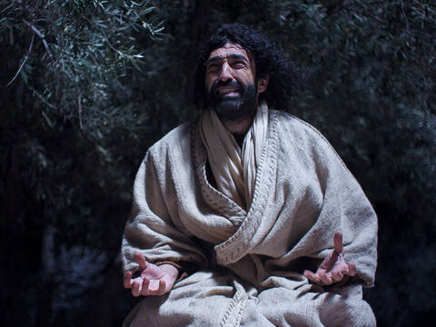 यीशु गतसमनी में प्रार्थना करते हैं जब उनके शिष्य सो रहे होते हैं। (मत्ती 26:36-56, मरकुस 14:32-52, लूका 22:39-53, यूहन्ना 18:1-12) – Slide número 3