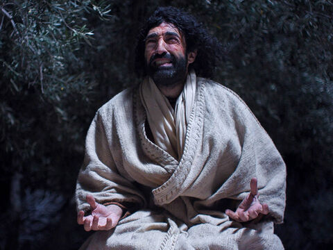 यीशु गतसमनी में प्रार्थना करते हैं जब उनके शिष्य सो रहे होते हैं। (मत्ती 26:36-56, मरकुस 14:32-52, लूका 22:39-53, यूहन्ना 18:1-12) – Slide número 6