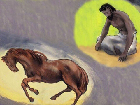 'क्या तुमने घोड़े को उसकी ताकत दी है? क्या आप इसकी गर्दन को लहराती अयाल से सजाते हैं? – Slide número 53