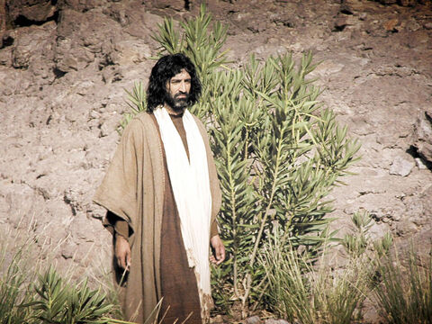 यूहन्ना ने यरदन नदी में यीशु को बपतिस्मा दिया। (मत्ती 3:1-16, मरकुस 1:1-11, लूका 3:1-22, यूहन्ना 1:1-34) – Slide número 16
