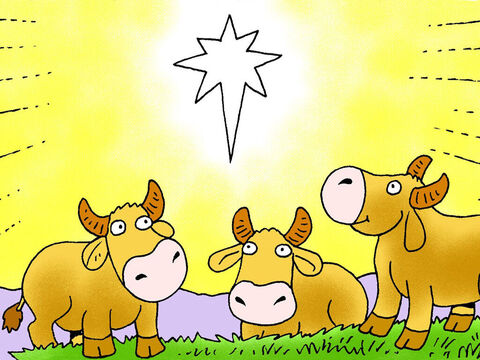 गायें धीरे से रंभाती हैं<br/>और बच्चा जागता है। – Slide número 5
