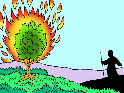 अचानक मूसा ने दूर से कुछ बहुत ही अजीब देखा। एक हरी झाड़ी में आग लगी थी, लेकिन वह जल नहीं रही थी! – Slide número 4