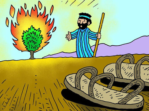 परमेश्वर ने कहा, 'अपने जूते उतारो! तुम पवित्र भूमि पर खड़े हो।’ तब मूसा ने अपने जूते उतारे और जलती हुई झाड़ी को देखने के लिए पास गया। – Slide número 6