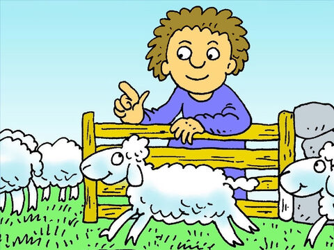 उस रात चरवाहे ने अपनी सारी भेड़ों की गिनती की। केवल निन्यानबे थे! एक मेमना खो गया था! – Slide número 4