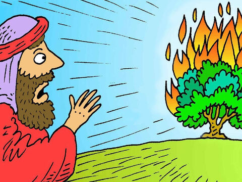 मूसा एक दिन अपनी भेड़ों को चरा रहा था जब उसने एक छोटी झाड़ी में आग देखी। झाड़ी नहीं जली, इसलिए वह देखने के लिए करीब गया और यहोवा ने झाड़ी में से उससे बात की। – Slide número 1