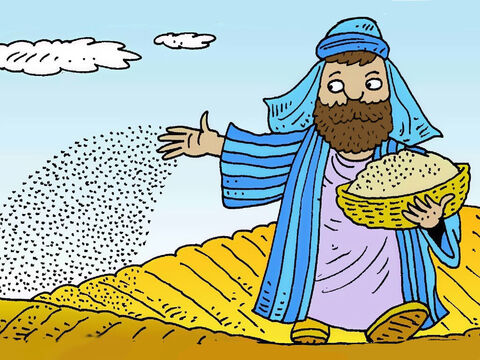 यीशु ने एक किसान के बारे में एक कहानी सुनाई जिसने एक खेत में कुछ बीज बिखेर दिए। वह चाहता था कि बीज अच्छी तरह से विकसित हो ताकि उसे बड़ी फसल मिले। – Slide número 2