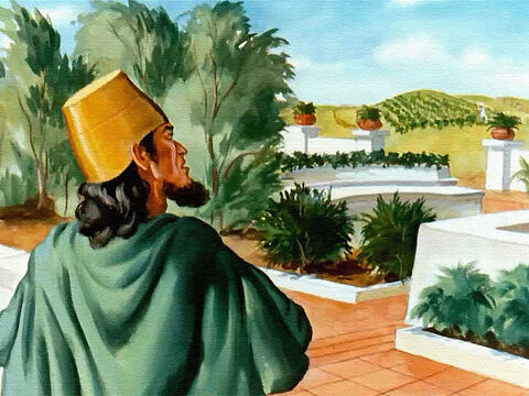 राजा अहाब तुरन्त उस दाख की बारी को चाहता था। क्योंकि, उसे अपने बगीचे को बड़ा करने के लिए बस इतना ही चाहिए था! वह अंगूर की लताओं को थोड़ सकता था और जो चाहे लगा सकता था। – Slide número 5