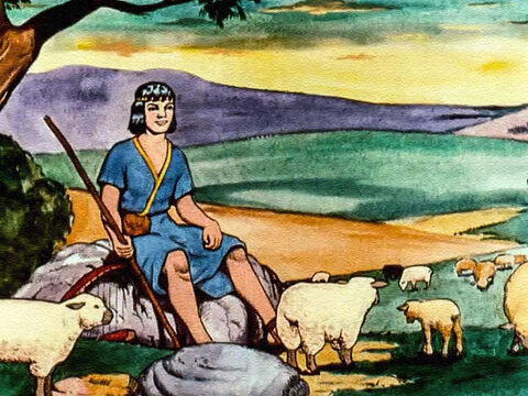 दाऊद एक चरवाहा लड़का था, और उसके बचपन का अधिकांश जीवन अपने पिता की भेड़ों की देखभाल करते हुए, खेतों में बीता था। – Slide número 5