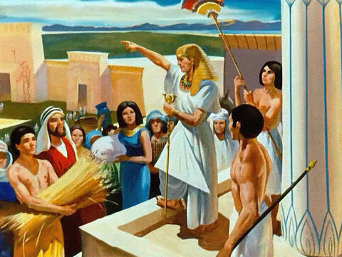सात वर्ष की भरपूर फसल के द्वारा, यूसुफ ने बड़े भण्डारों में भोजन जमा किया, क्योंकि यहोवा ने उसे बताया था कि अकाल आ रहा था। – Slide número 33