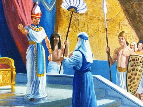 अंत में राजा मजबूर हुआ और उस ने मूसा को बुलवाकर कहा, कि इस्राएलियों को लेकर मिस्र से चला जा। – Slide número 9