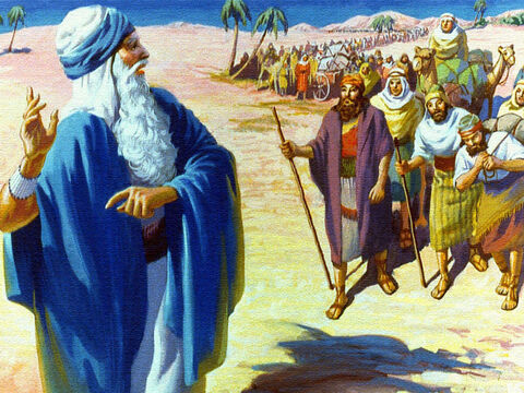 शीघ्र ही वे मूसा के पीछे-पीछे मरुभूमि में जा रहे थे। एक गर्म, कठिन यात्रा आगे थी लेकिन लोग खुश थे। वे एक नए जीवन और भरपूर भूमि की ओर बढ़ रहे थे। – Slide número 12