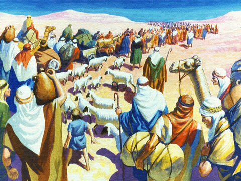 यह क्या ही नज़ारा था, लोगों का एक पूरा राष्ट्र, उनमें से सैकड़ों हजारों लोग अपने मवेशियों और अपने सभी सामानों के साथ रेगिस्तान में घूम रहे थे। – Slide número 13