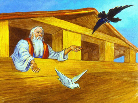 इसके कुछ ही समय बाद नूह ने एक कौवे और एक कबूतर को भेजा। – Slide número 40