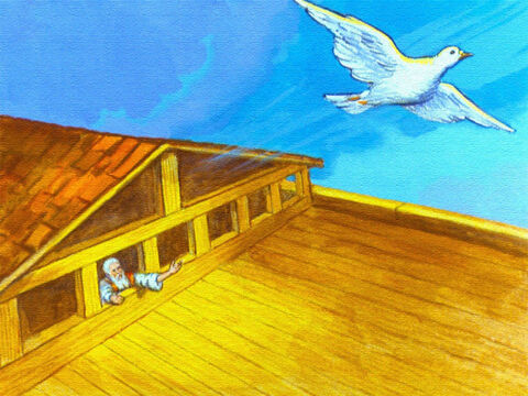 सात दिन बीत गए और नूह ने दूसरी बार कबूतरी को बाहर भेजा। – Slide número 42
