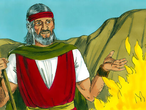 'फ़िरौन के पास जाओ और मेरे लोगों को मिस्र से बाहर ले आओ', परमेश्वर ने निर्देश दिया। मूसा बहाने बनाने लगा। 'मैं यह करने वाला कौन होता हूं?' – Slide número 6