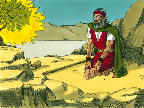 परमेश्वर ने मूसा से पूछा, -‘तेरे हाथ में क्या है?’ मूसा ने उत्तर दिया ‘एक लाठी है।’ परमेश्वर ने कहा, इसे भूमि पर फेंक दे। – Slide número 12