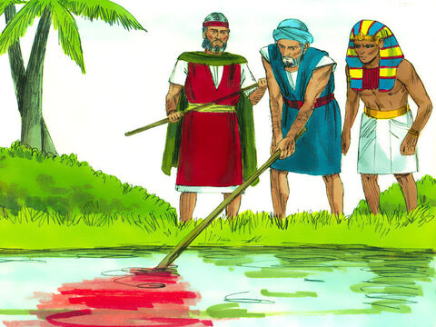 तब हारून ने परमेश्वर की आज्ञा के अनुसार किया, और अपनी लाठी से नील नदी पर मारा। पानी खून में बदल गया। मछलियाँ मर गईं, मिस्रवासी पानी नहीं पी सके और नदी गलने लगी। – Slide número 2
