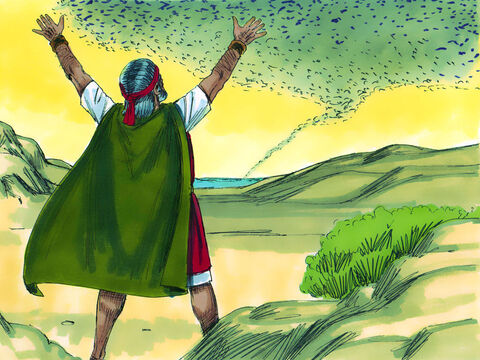 जब मूसा ने फ़िरौन के पास से प्रार्थना की, तब पवन ने अपनी दिशा बदल ली, और पच्छिम से टिड्डियां उड़ाकर लाल समुद्र में चली गईं। – Slide número 5