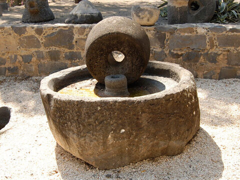 यहां बाइबिल काल का काले बेसाल्ट से बना गोलाकार प्रेस और पीसने का पत्थर है जो कफरनहूम में पाया गया था। – Slide número 12