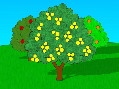 परमेश्वर ने आदम को चेतावनी दी कि वह अच्छे और बुरे के ज्ञान के वृक्ष को छोड़कर बगीचे के किसी भी पेड़ का फल खा सकता है। यदि आदम इस पेड़ का फल खा ले तो वह मर जायेगा। – Slide número 3