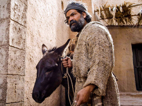 यीशु एक गधे पर विजयी रूप से यरूशलेम में सवारी करता है। (मत्ती 21:1-11, मरकुस 11:1-11, लूका 19:28-44, यूहन्ना 12:12-17) – Slide número 5
